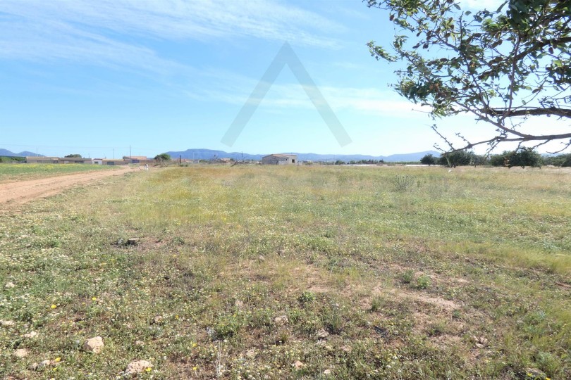 Parcela Rústica en PARAJE EL PALMERO